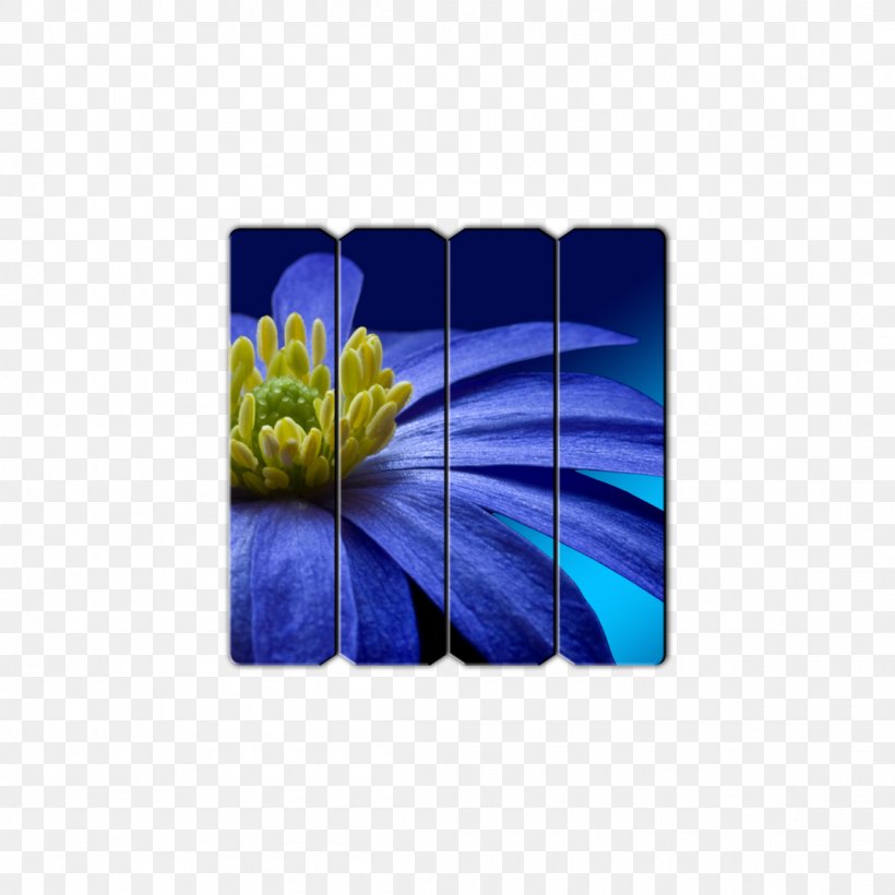 Ultra-high-definition Television HVGA Mobile Phones 4K Resolution 720p, PNG, 1150x1150px, 4k Resolution, Ultrahighdefinition Television, Cobalt Blue, Electric Blue, Flower Download Free