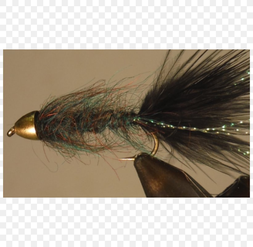 Artificial Fly, PNG, 800x800px, Artificial Fly, Bait, Fishing Bait, Fishing Lure Download Free