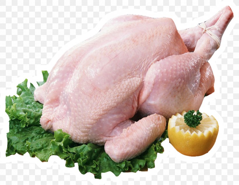 Chicken Turkey Meat Barbecue Turkey Meat, PNG, 2888x2236px, Chicken, Animal Source Foods, Barbecue, Chicken Meat, Dish Download Free