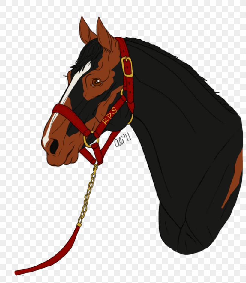 Halter Mustang Rein Horse Harnesses Bridle, PNG, 833x958px, Halter, Bit, Bridle, Dog Harness, Horse Download Free
