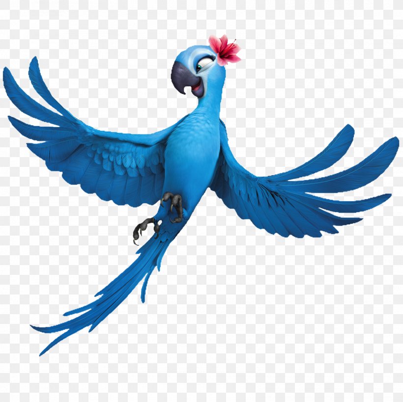 Blu Nigel Rio Clip Art Linda, PNG, 1600x1600px, Blu, Beak, Bird, Comedy, Common Pet Parakeet Download Free