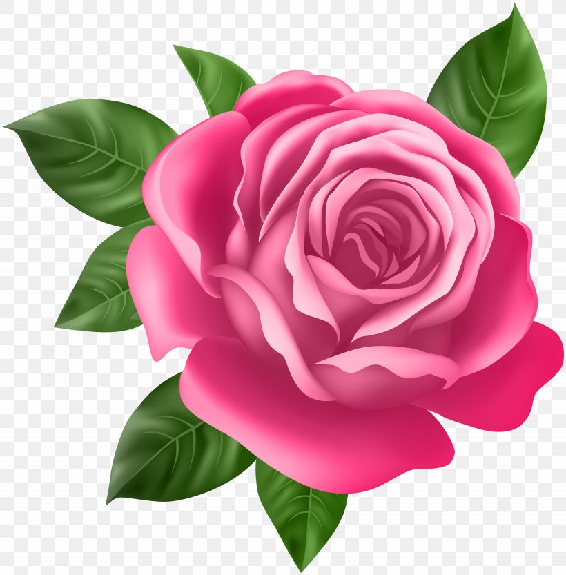 Rose Flower Desktop Wallpaper Clip Art, PNG, 7872x8000px, Rose, Camellia, China Rose, Cut Flowers, Floribunda Download Free