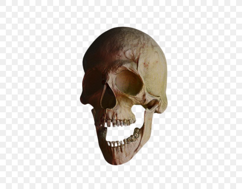 Skull And Crossbones, PNG, 640x640px, Skull, Bone, Death, Head, Jaw Download Free