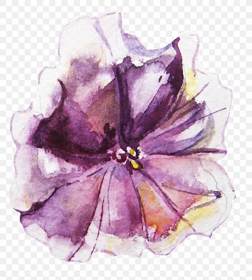 Stock Illustration Watercolor Painting Watercolor: Flowers Royalty-free, PNG, 1024x1138px, Watercolor Painting, Art, Clematis, Drawing, Flower Download Free