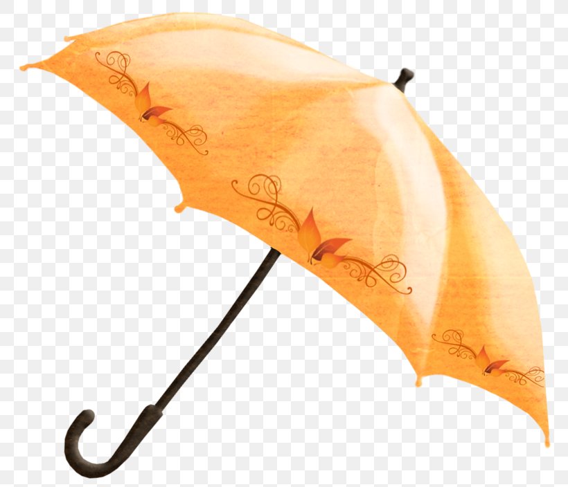 Umbrella Drawing Photography Clip Art, PNG, 800x704px, Umbrella, Color, Drawing, Fashion Accessory, Landscape Painting Download Free