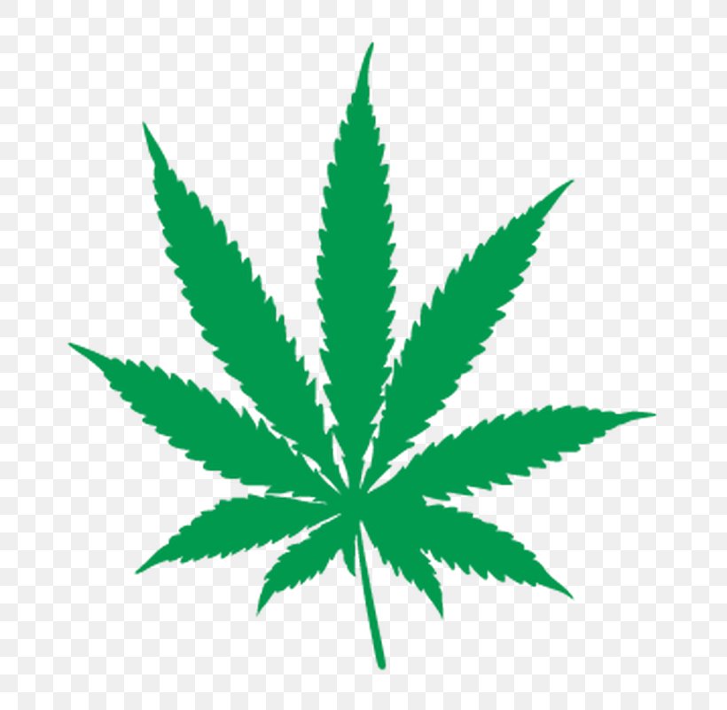 Cannabis Smoking Leaf Kush Medical Cannabis, PNG, 800x800px, Cannabis, Cannabis Sativa, Cannabis Smoking, Decal, Grass Download Free