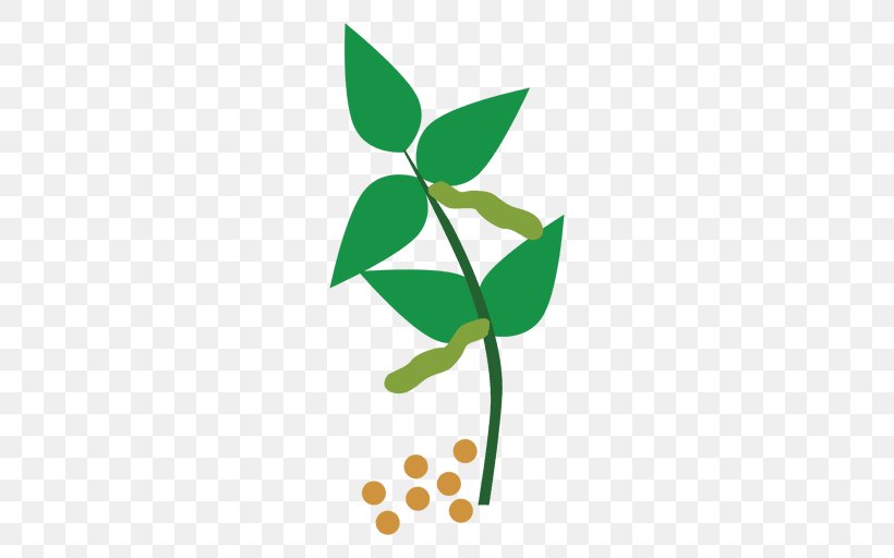 Clip Art Plant Stem Common Bean Plants, PNG, 512x512px, Plant Stem, Animaatio, Branch, Common Bean, Drawing Download Free