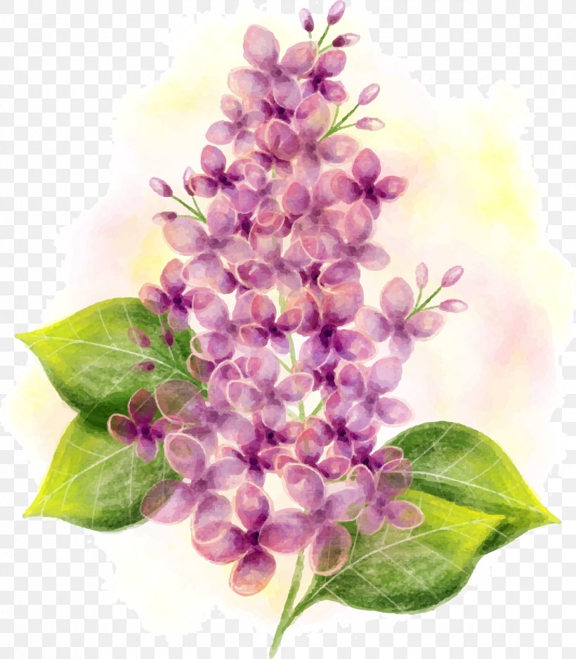 Lilac Watercolor Painting Flower, PNG, 1426x1630px, Lilac, Branch, Color, Cut Flowers, Floral Design Download Free