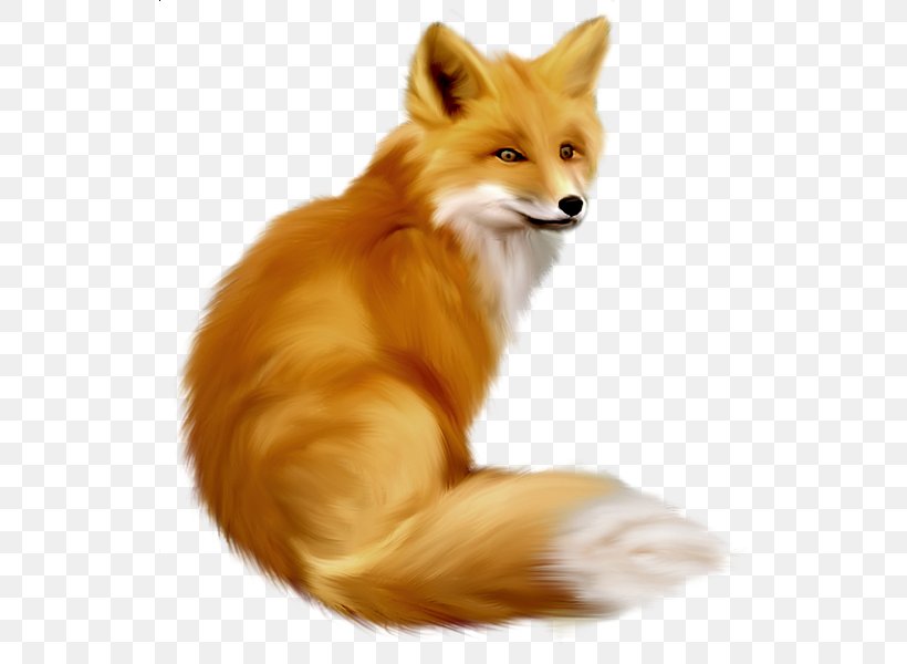 Red Fox Clip Art, PNG, 531x600px, Fox, Art, Carnivoran, Dog Breed, Dog Like Mammal Download Free