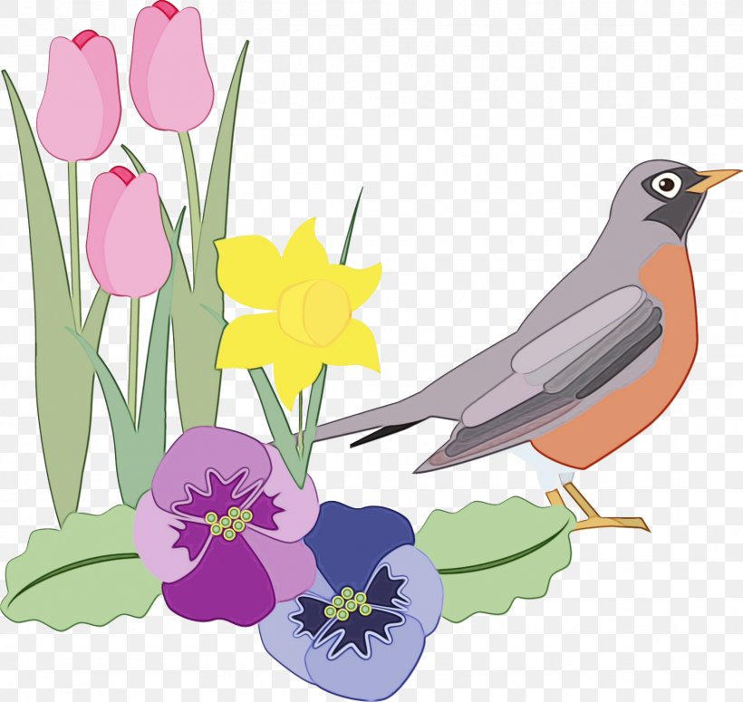 Watercolor Flower Background, PNG, 1717x1623px, Watercolor, Beak, Bird, Church, Collage Download Free