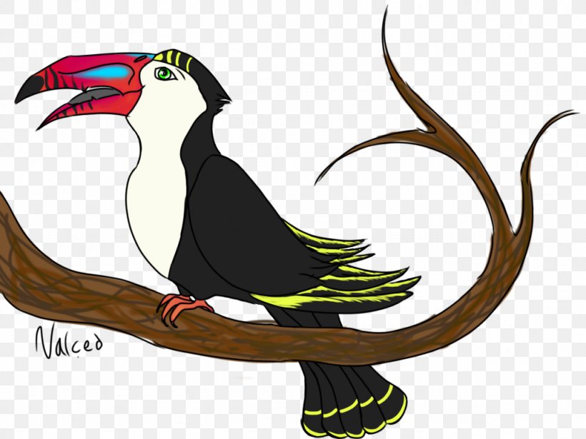 Bird Piciformes Toucan Beak, PNG, 1024x768px, Bird, Animal, Beak, Cartoon, Fauna Download Free