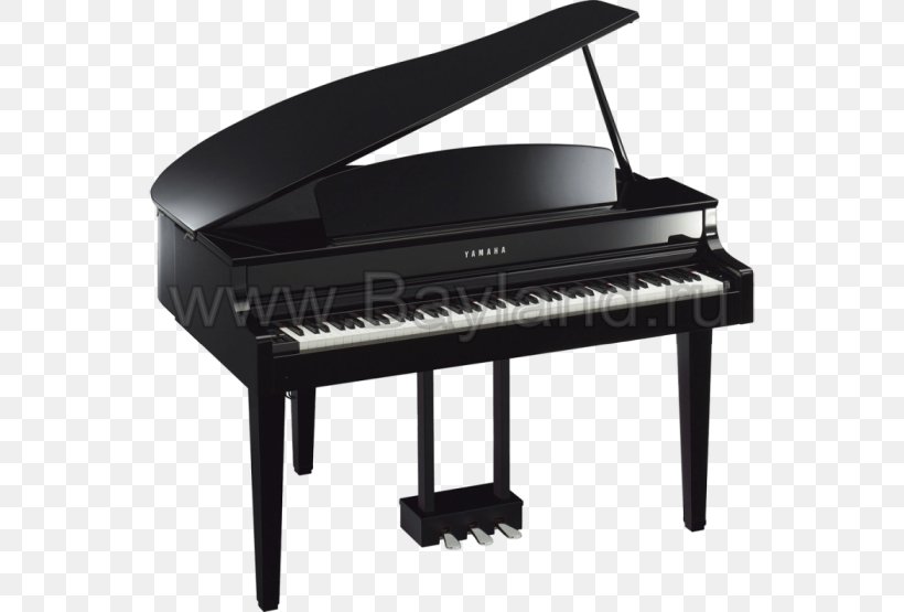 Digital Piano Clavinova Grand Piano Disklavier, PNG, 700x555px, Watercolor, Cartoon, Flower, Frame, Heart Download Free