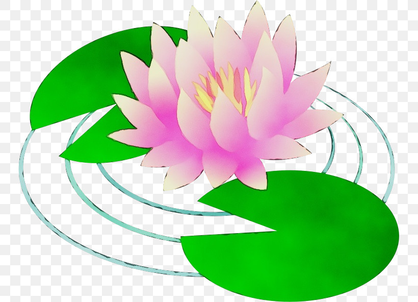 Floral Design, PNG, 747x592px, Lotus Flower, Background, Flora, Floral Design, Green Download Free