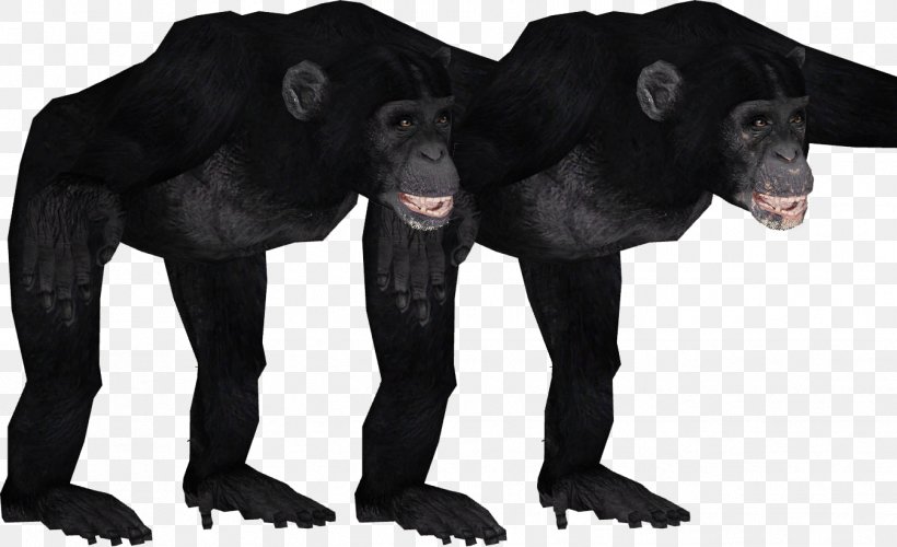 Gorilla Common Chimpanzee Primate Zoo Tycoon 2 Animal, PNG, 1346x821px, Gorilla, Aggression, Animal, Ape, Chimpanzee Download Free