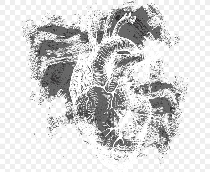Heart Euclidean Vector Human Body, PNG, 650x671px, Watercolor, Cartoon, Flower, Frame, Heart Download Free
