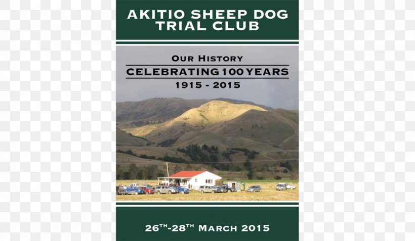Akitio Sheep Advertising Coach House Museum Farm, PNG, 1000x582px, Sheep, Advertising, Beef, Brand, Business Download Free