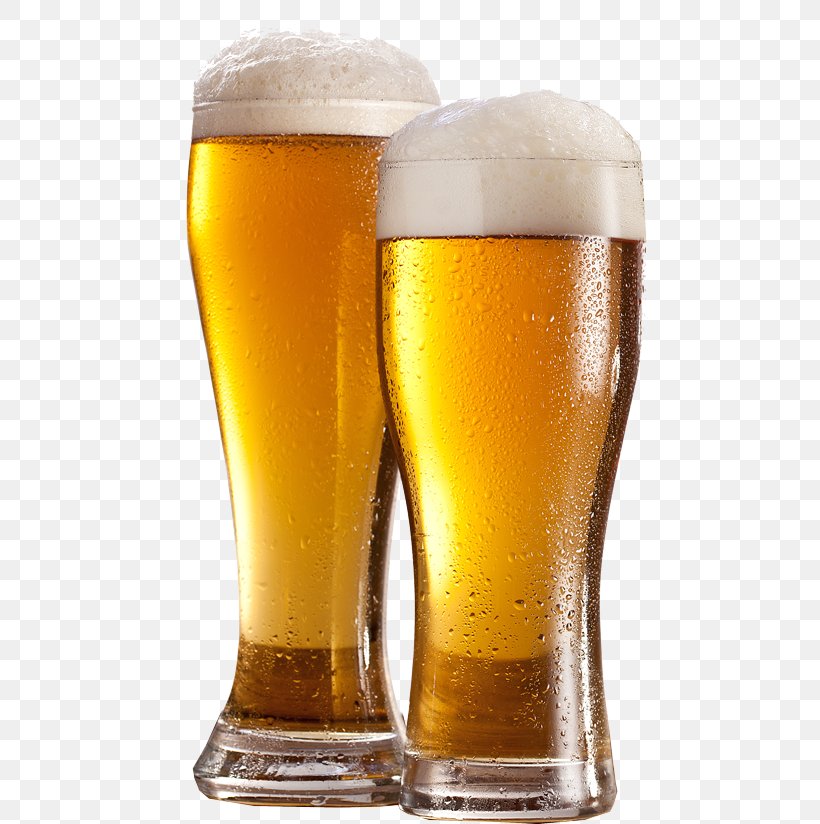Beer Bottle Wine Fizzy Drinks Ale, PNG, 500x824px, Beer, Alcoholic Drink, Ale, Beer Bottle, Beer Brewing Grains Malts Download Free