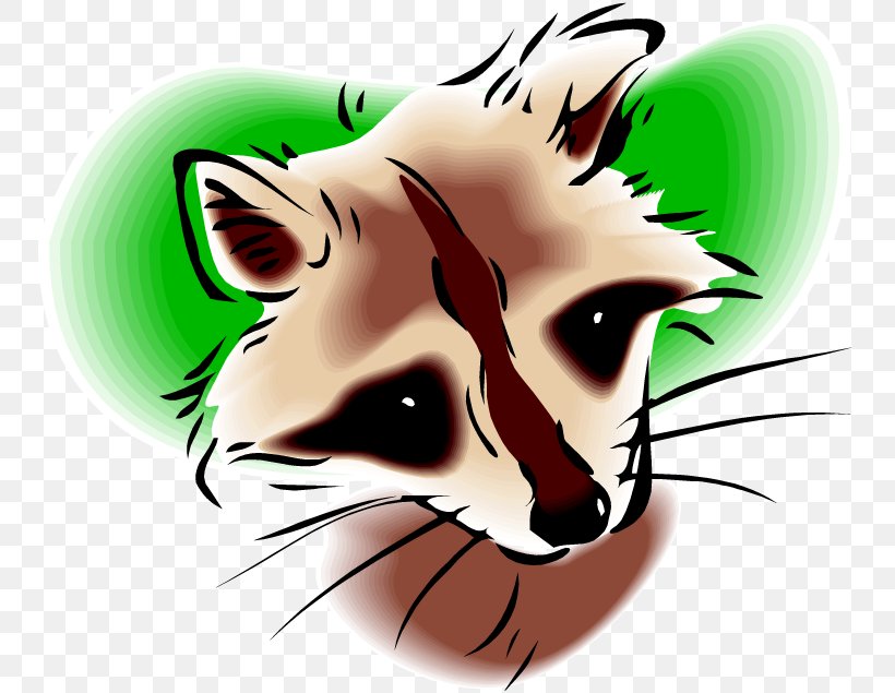 Clip Art Whiskers Raccoon Illustration Image, PNG, 750x635px, Whiskers, Art, Canidae, Carnivore, Cartoon Download Free