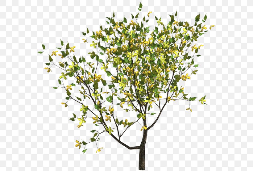 Twig Clip Art, PNG, 600x554px, Twig, Branch, Cartoon, Copyright, Flower Download Free