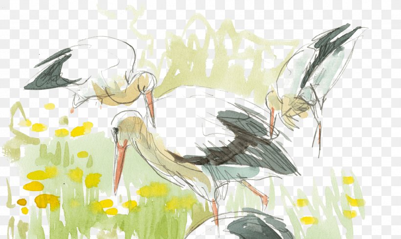 Beak Ciconia Legend Desktop Wallpaper Fiction, PNG, 1800x1072px, Watercolor, Cartoon, Flower, Frame, Heart Download Free