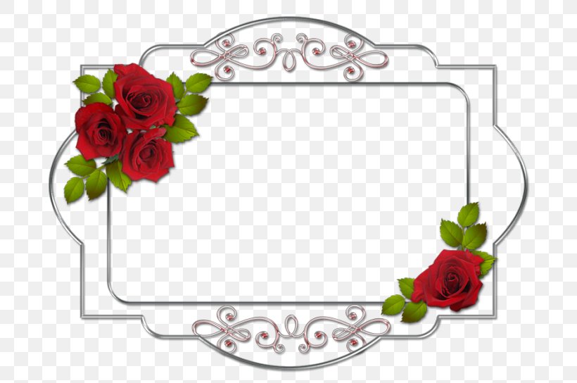 Garden Roses Picture Frames Red French Rose Clip Art, PNG, 700x544px, Garden Roses, Artwork, Border, Cuadro, Cut Flowers Download Free