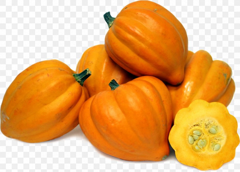 Pumpkin Winter Squash Gourd Acorn Squash, PNG, 850x611px, Pumpkin, Acorn Squash, Calabaza, Commodity, Cucumber Gourd And Melon Family Download Free