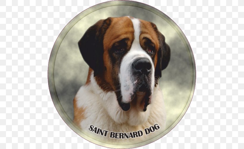 St. Bernard Dog Breed Rottweiler Puppy, PNG, 500x500px, St Bernard, Blog, Breed, Carnivoran, Dog Download Free