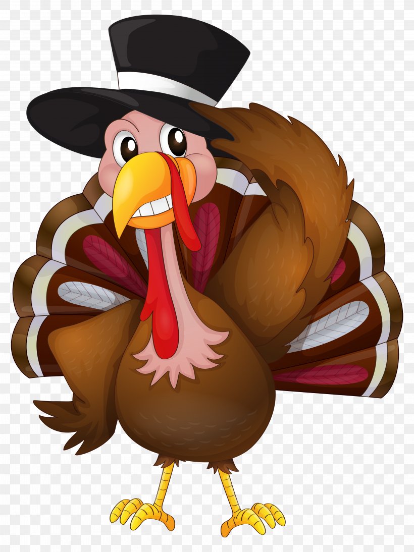The Turkey Trot Thanksgiving Coloring Book, PNG, 4855x6479px, Turkey, Beak, Bird, Cartoon, Chicken Download Free