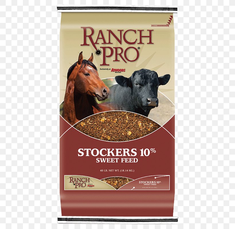 Cattle Horse Equine Nutrition Ranch Goat, PNG, 800x800px, Cattle, Advertising, Atwoods, Banner, Cattle Like Mammal Download Free