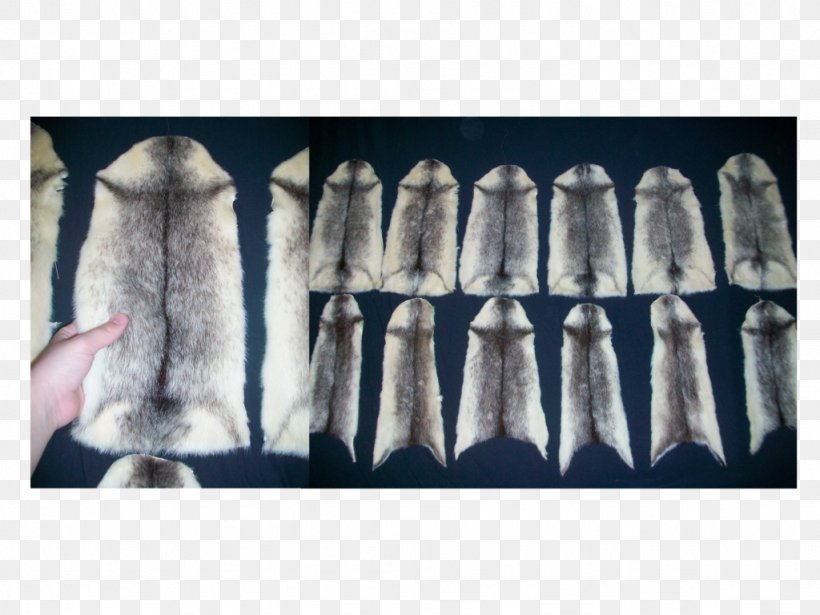 Fur American Mink Weasels Muskrat, PNG, 1024x768px, Fur, American Mink, Bobcat, Fisher, Fox Download Free