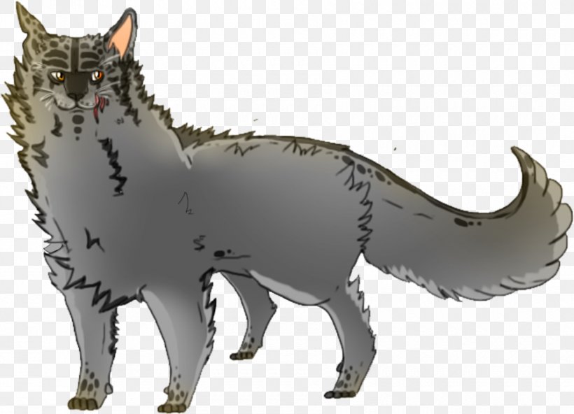 Whiskers Shark Gray Wolf Cat Warriors, PNG, 900x650px, Whiskers, Canidae, Carnivoran, Cat, Cat Like Mammal Download Free