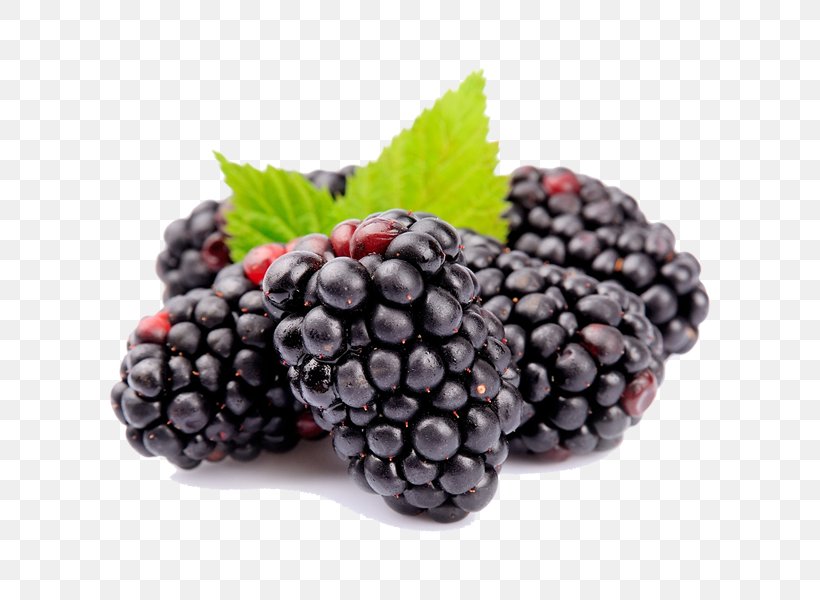 Boysenberry Amora Fruit Sorbet Auglis, PNG, 600x600px, Boysenberry, Amora, Auglis, Berry, Bilberry Download Free