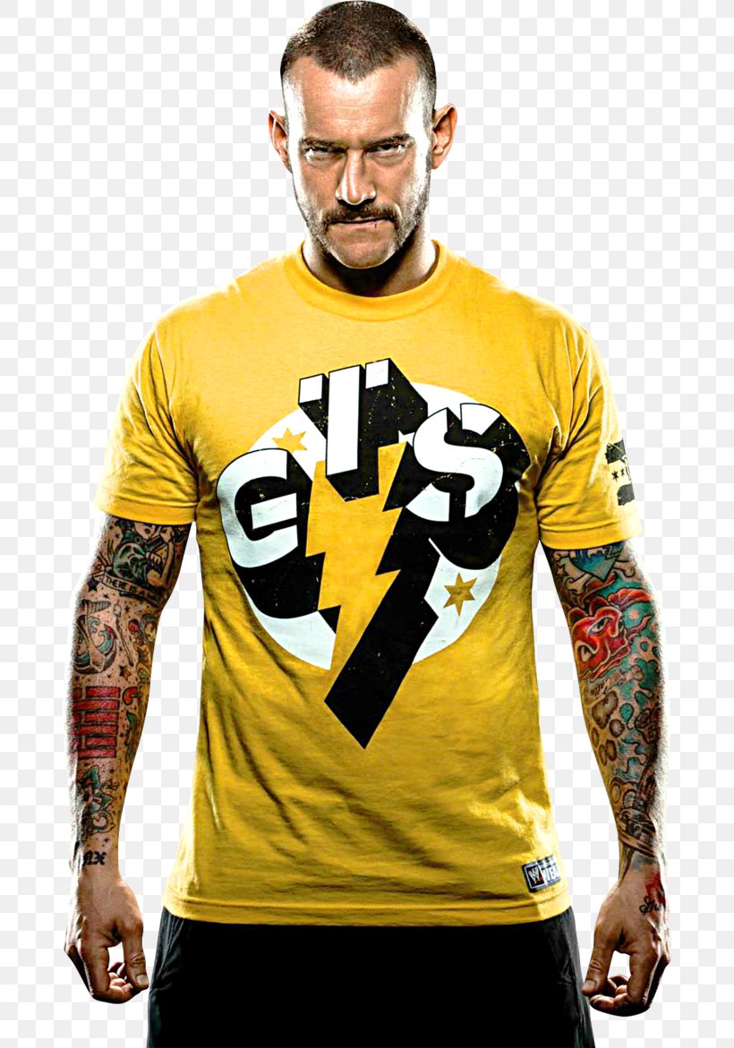 CM Punk Professional Wrestling Display Resolution, PNG, 682x1171px, Watercolor, Cartoon, Flower, Frame, Heart Download Free