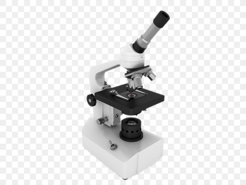 Optical Microscope Cell Scientist, PNG, 447x618px, Microscope, Anatomy, Biology, Cell, Microscopy Download Free