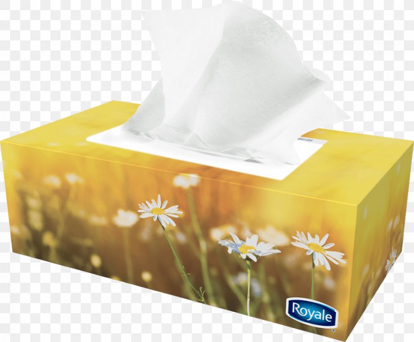 Paper Towel Box Facial Tissues Royale, PNG, 969x801px, Paper, Box, Carton, Cleaning, Cloth Napkins Download Free