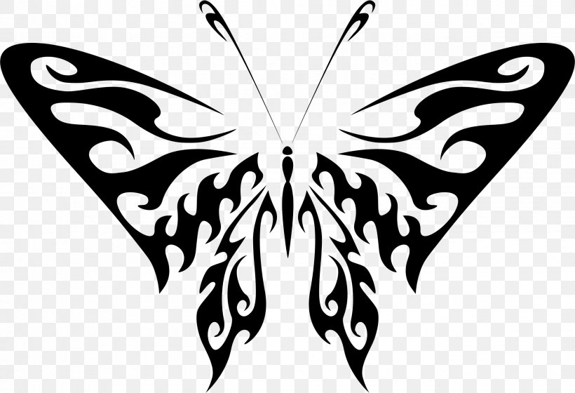 Butterfly Photography Drawing Clip Art, PNG, 2444x1670px, Butterfly, Arthropod, Black, Black And White, Brush Footed Butterfly Download Free