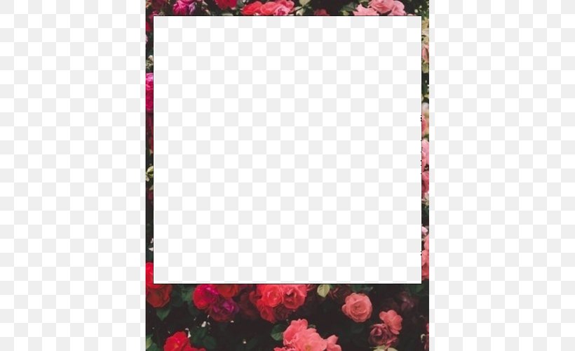 Picture Frames Kodak Photography Polaroid Corporation Pattern, PNG, 500x500px, Picture Frames, Border, Film Stock, Floral Design, Flower Download Free