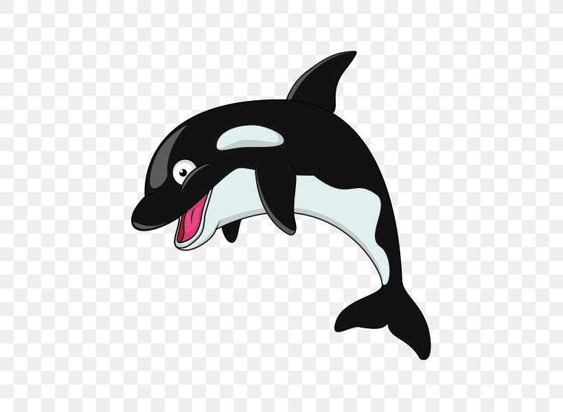 Killer Whale Clip Art, PNG, 600x600px, Killer Whale, Blog, Common Bottlenose Dolphin, Computer, Dolphin Download Free