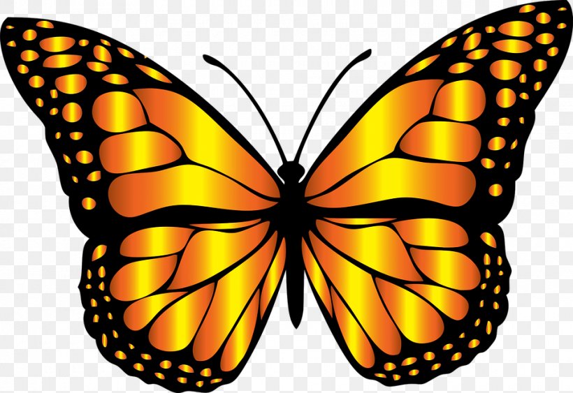 Monarch Butterfly Insect Clip Art, PNG, 960x660px, Butterfly, Arthropod, Brush Footed Butterfly, Clip Art, Drawing Download Free