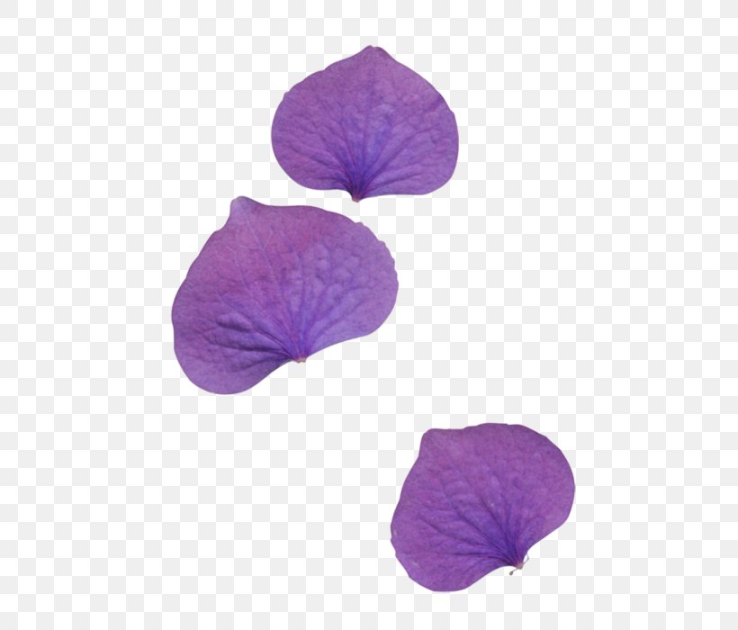 Petal Flower Leaf Clip Art, PNG, 521x700px, Petal, Blue, Digital Image, Display Resolution, Flower Download Free