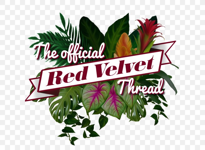 Red Velvet Happiness K-pop Red Flavor Bad Boy, PNG, 620x600px, Red Velvet, Bad Boy, Flower, Flowering Plant, Happiness Download Free