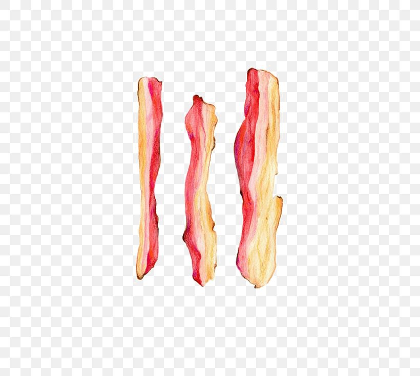 Bacon Cartoon Drawing Illustration, PNG, 564x736px, Bacon, Barbecue, Cartoon, Cooking, Cover Art Download Free