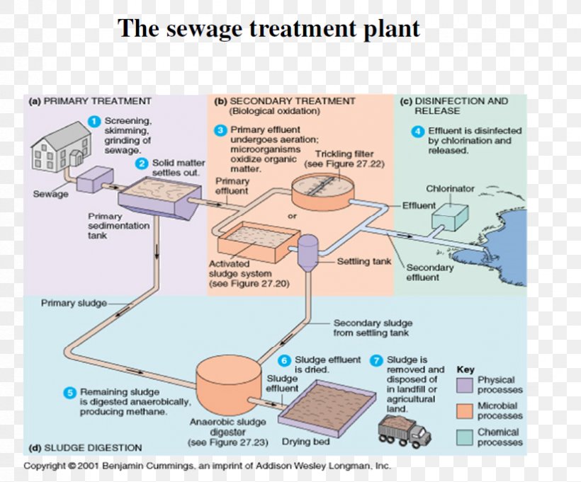 Microorganism Water Treatment Sewage Treatment Activated Sludge Wastewater, PNG, 824x685px, Microorganism, Activated Sludge, Anaerobic Organism, Area, Biochemical Oxygen Demand Download Free