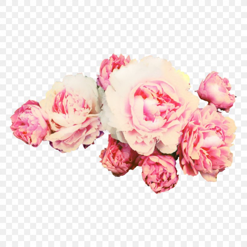 Peony Rose Clip Art Transparency, PNG, 1024x1024px, Peony, Chinese Peony, Common Peony, Cut Flowers, Floral Design Download Free