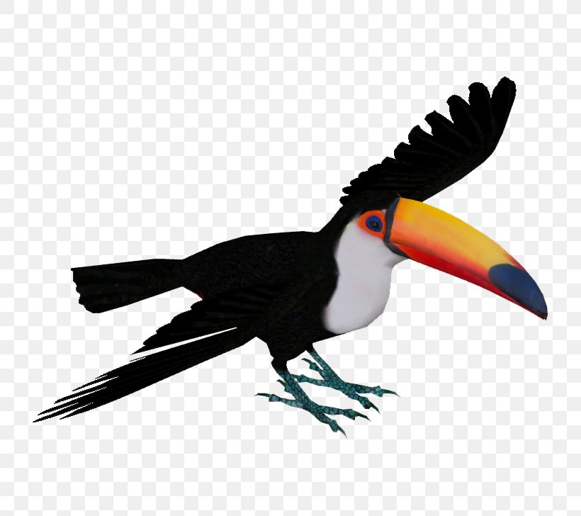 Zoo Tycoon 2 Toco Toucan Piciformes Bird Fiery-billed Aracari, PNG, 728x728px, Zoo Tycoon 2, Animal, Aracari, Beak, Bird Download Free