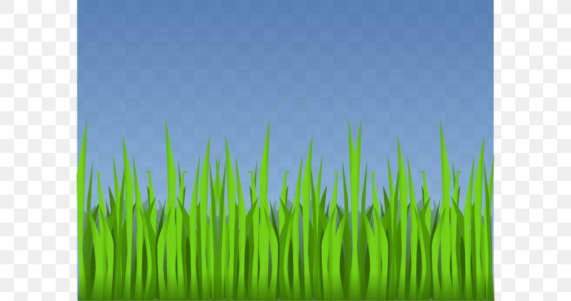 Animation Lawn Clip Art, PNG, 600x433px, Animation, Drawing, Field, Forest, Free Content Download Free
