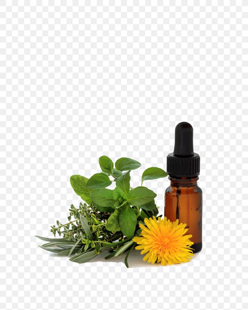 Bach Flower Remedies Therapy Homeopathy Physician Emotion, PNG, 689x1024px, Bach Flower Remedies, Alternative Health Services, Alternative Medicine, Disease, Edward Bach Download Free