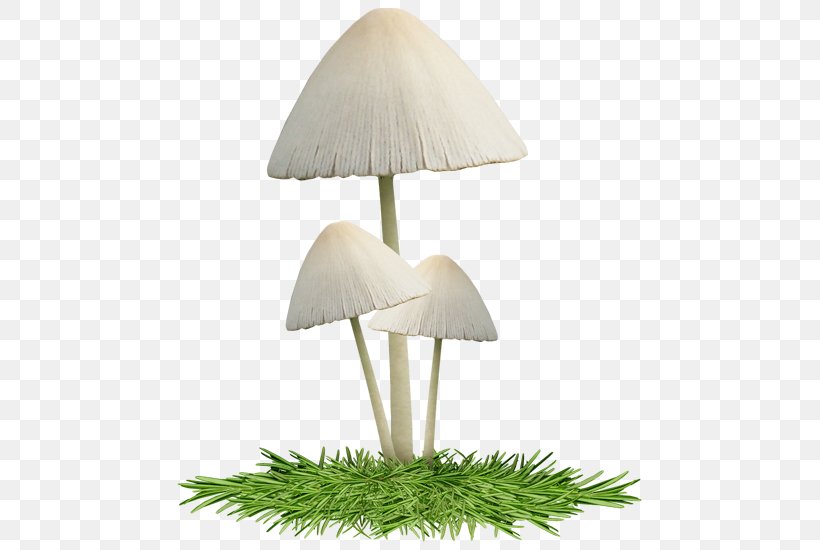 Mushroom Lighting, PNG, 500x550px, Mushroom, Grass, Lamp, Lighting, Lighting Accessory Download Free