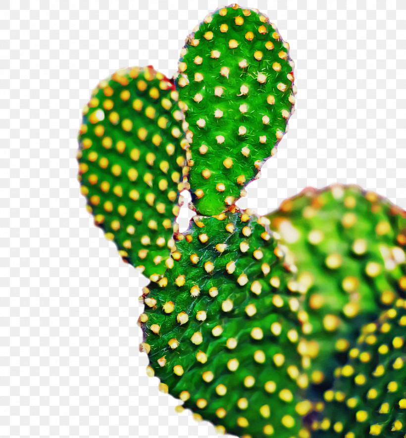 Cactus, PNG, 1334x1440px, Barbary Fig, Cactus, Chinese Pear, Eastern Prickly Pear, Flowerpot Download Free