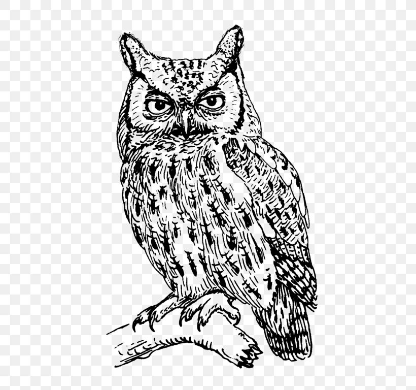 Eastern Screech Owl Bird Great Horned Owl Clip Art, PNG, 512x768px, Owl, Art, Artwork, Barn Owl, Barred Owl Download Free